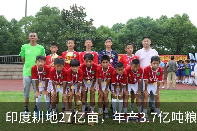 印度耕地27亿亩，年产3.7亿吨粮食，我国耕地19.18亿亩，年产多少
